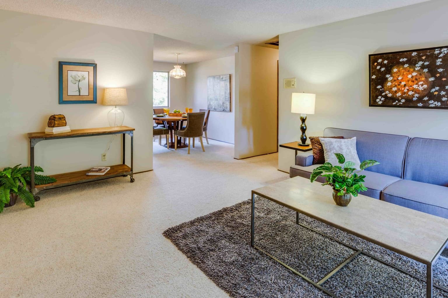 Carpet Cleaning